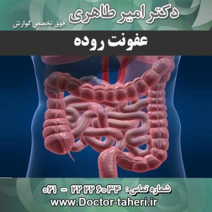 عفونت روده