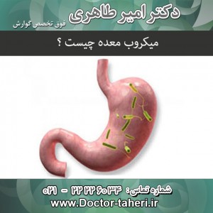 میکروب معده چیست