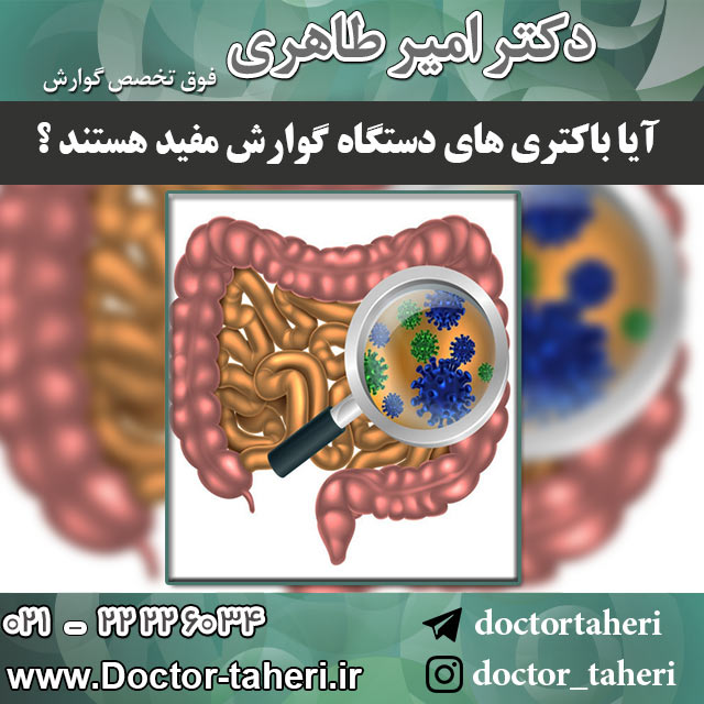 آیا باکتری های دستگاه گوارش مفید هستند ؟